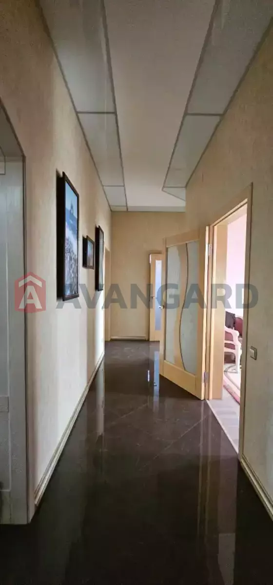 �������, 202 ��.�. ���� 27