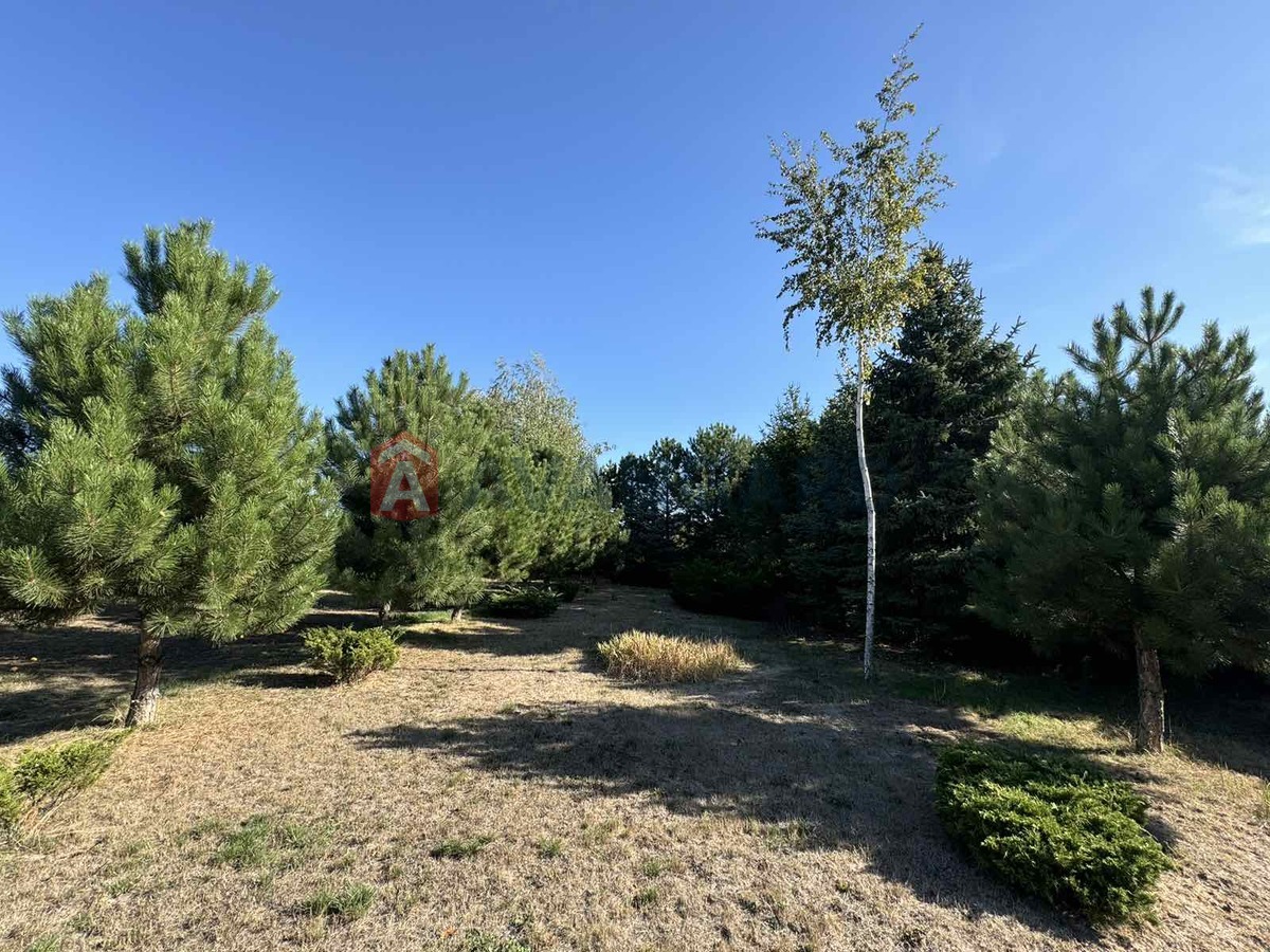 ���, 210 ��.�. ���� 7