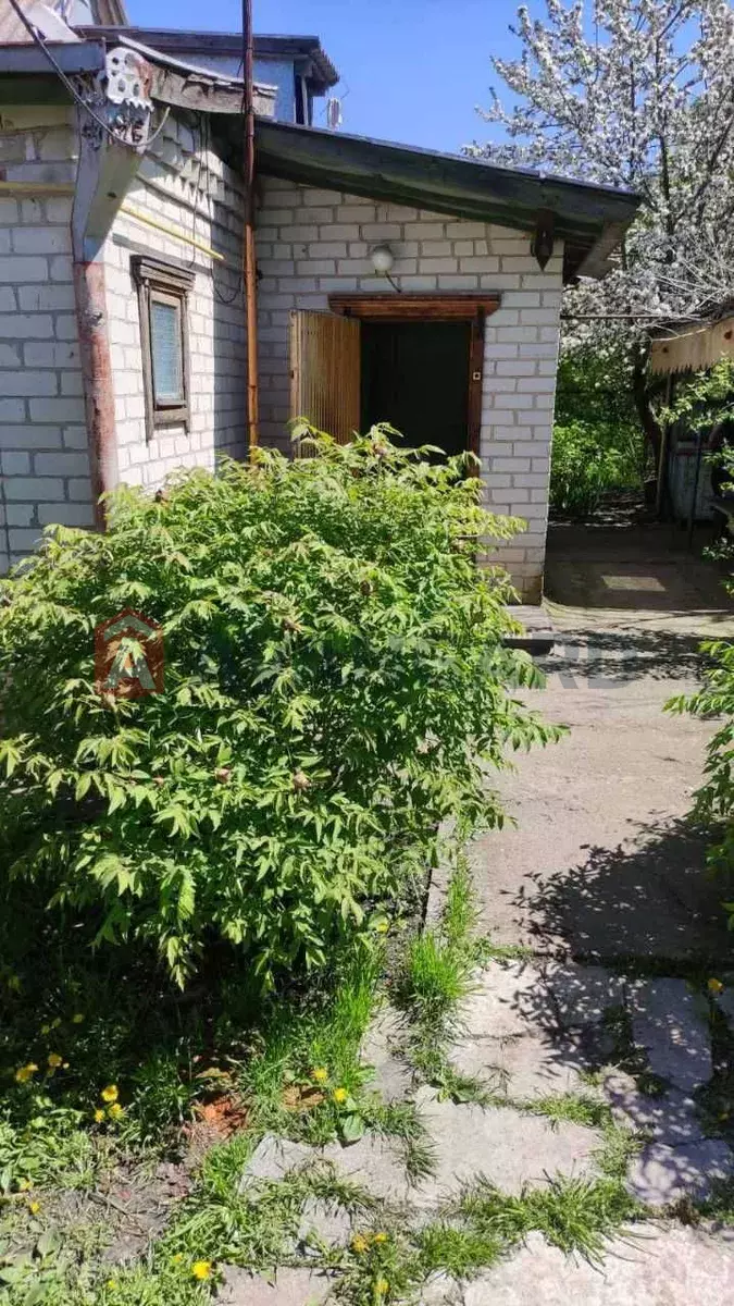 �������, 64 ��.�. ���� 12