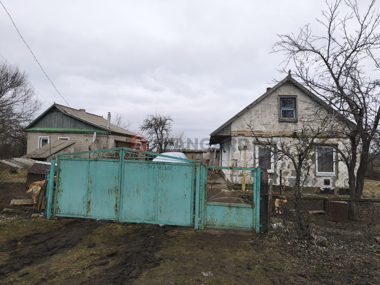 �������, 43 ��.�. ���� 1