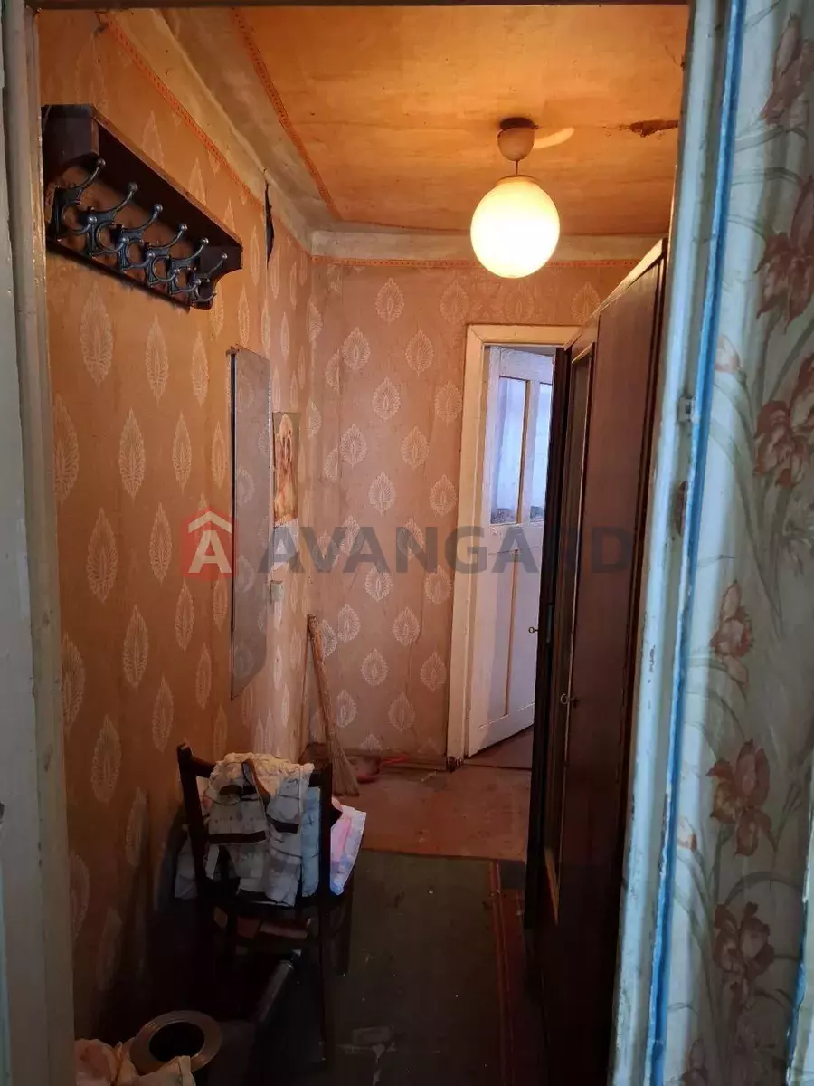 �������, 41 ��.�. ���� 6