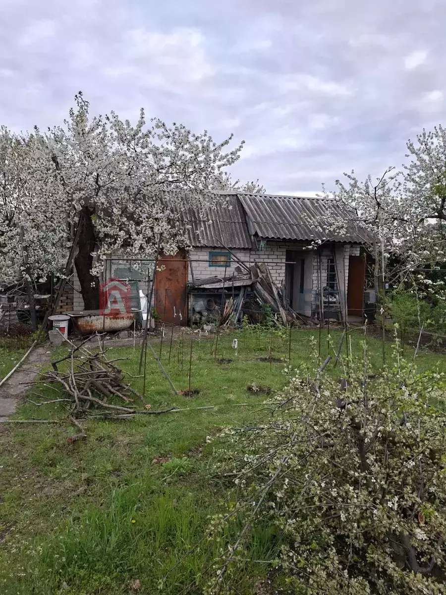 ����, 39 ��.�. ���� 1