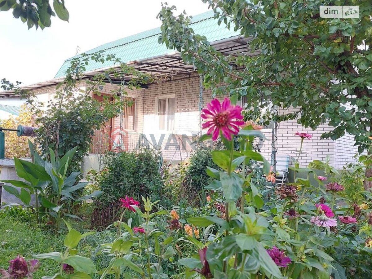 �������, 163 ��.�. ���� 4