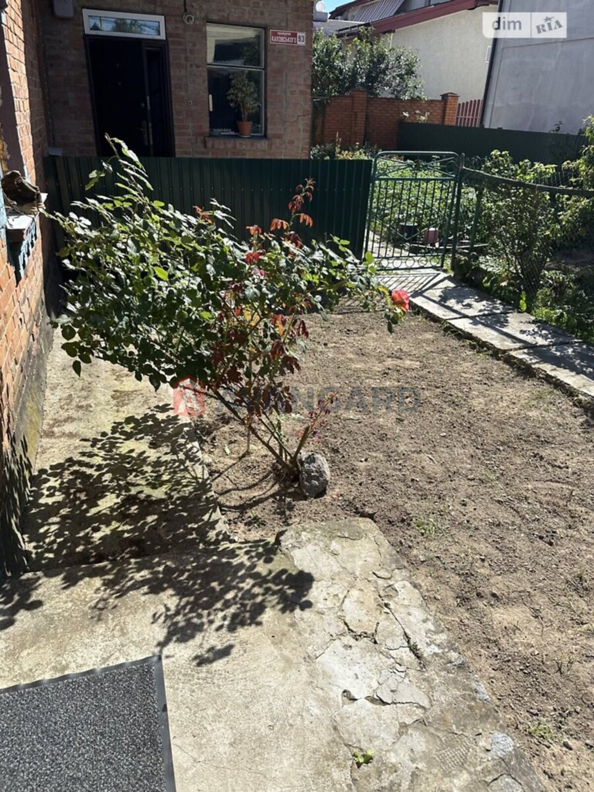 ������� �������, 24 ��.�. ���� 19