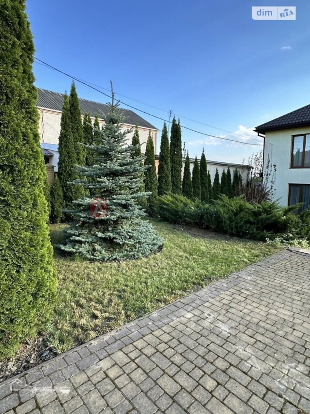 �������, 300 ��.�. ���� 3