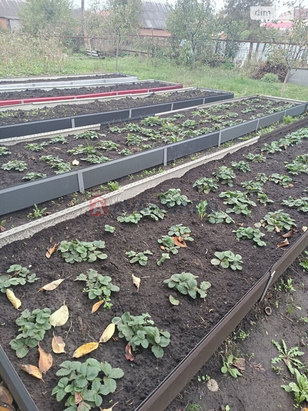 ���, 84 ��.�. ���� 24