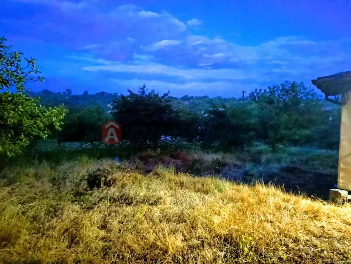 ����, 38 ��.�. ���� 1