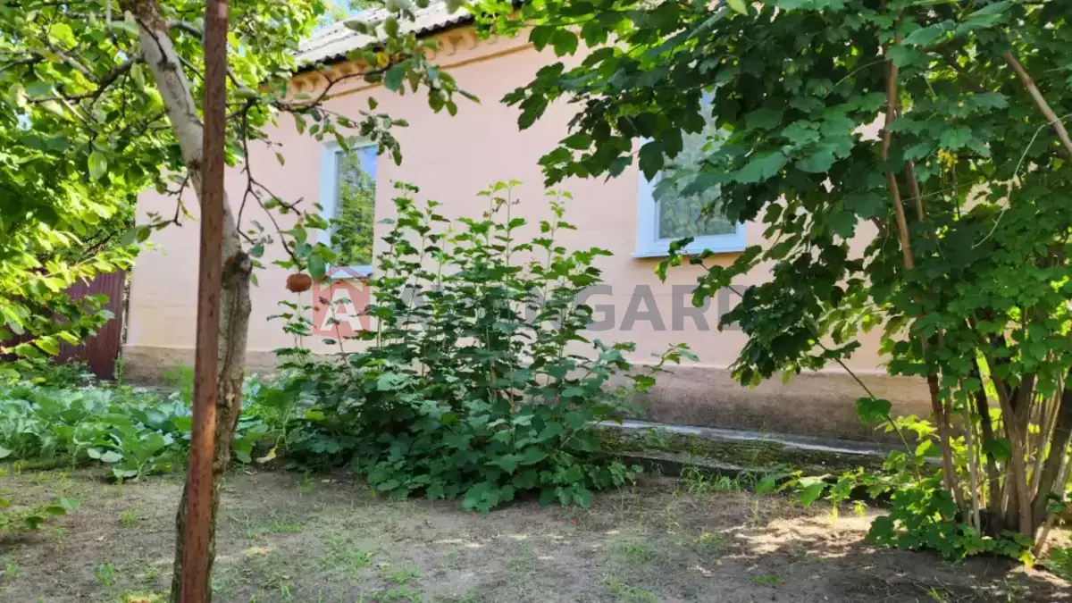 �������, 79 ��.�. ���� 20