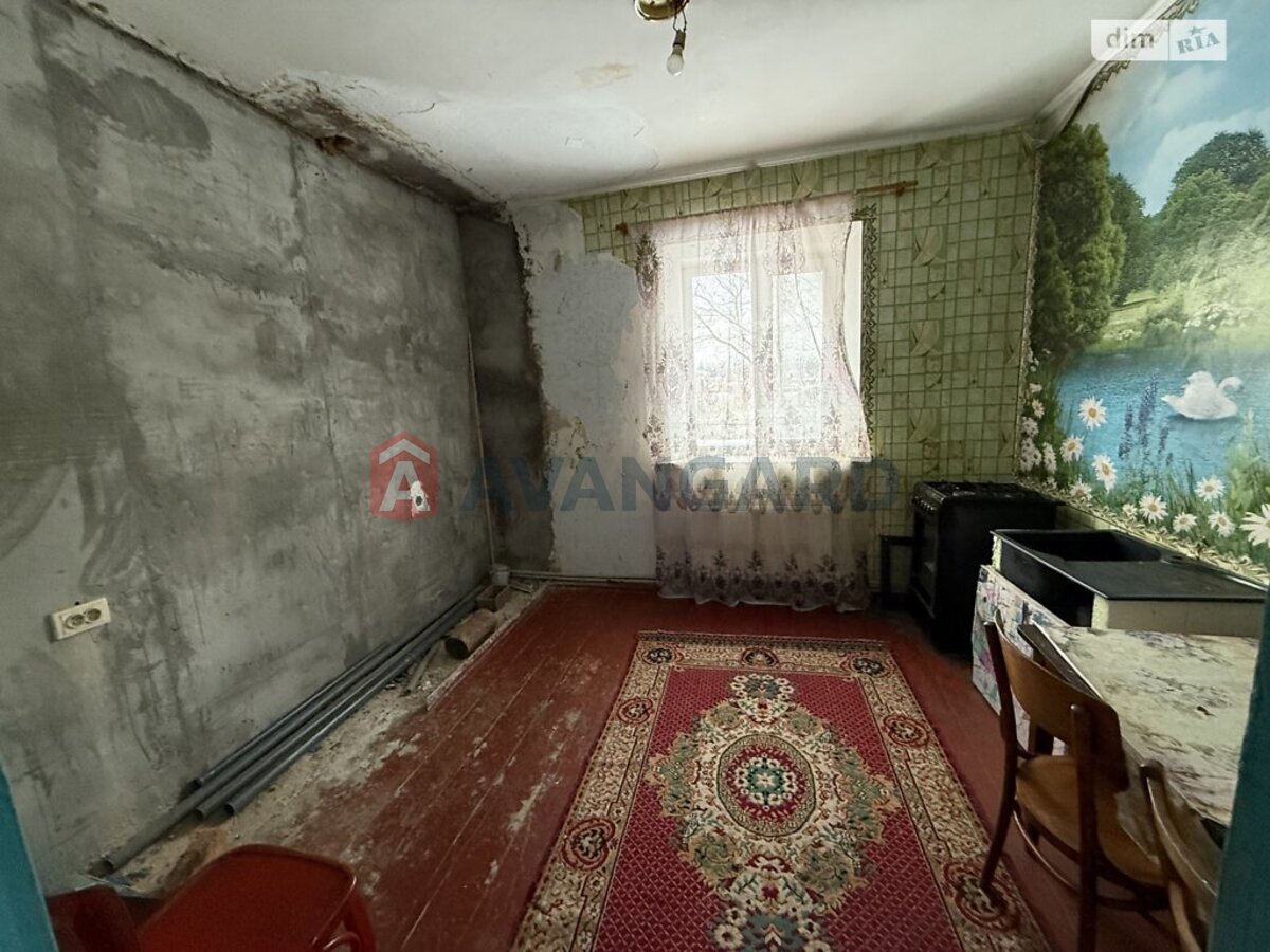 �������, 115 ��.�. ���� 12