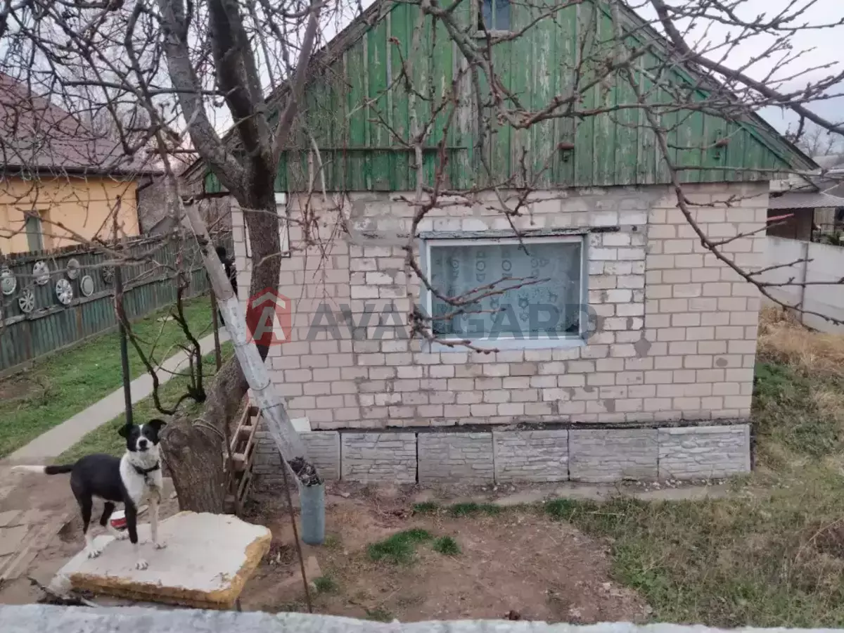 �������, 44 ��.�. ���� 8