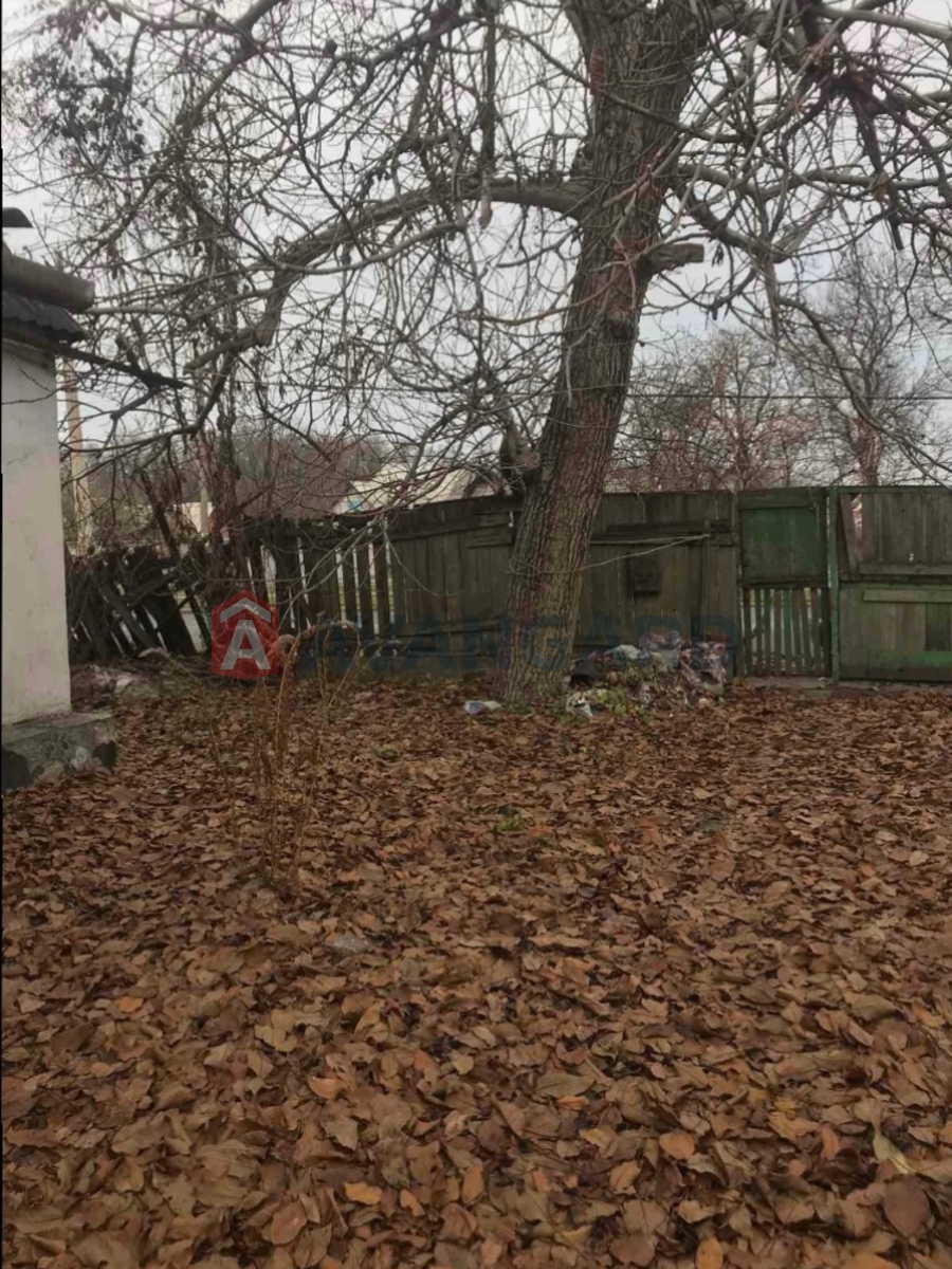 �������, 48 ��.�. ���� 7