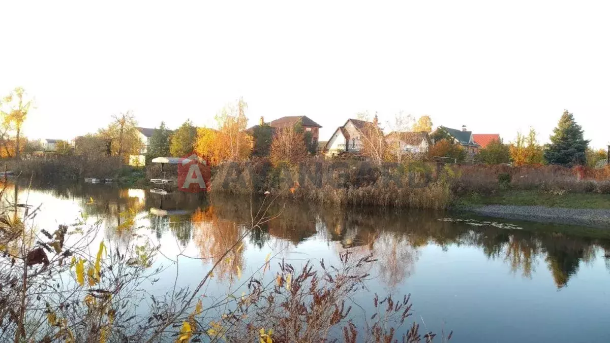 ����, 116 ��.�. ���� 5