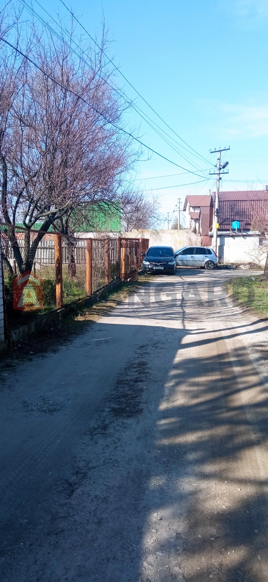 ����, 50 ��.�. ���� 5