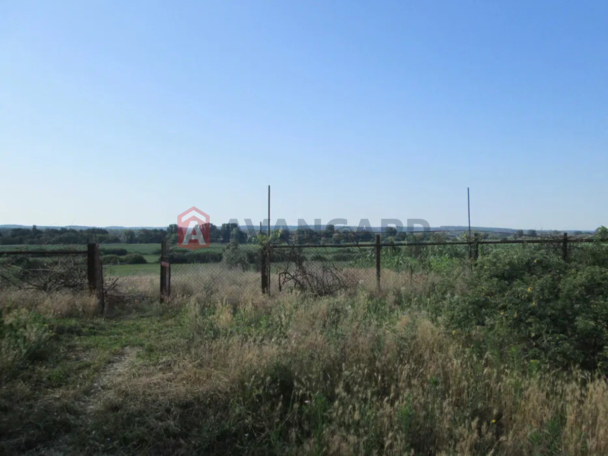 �������, 63 ��.�. ���� 5