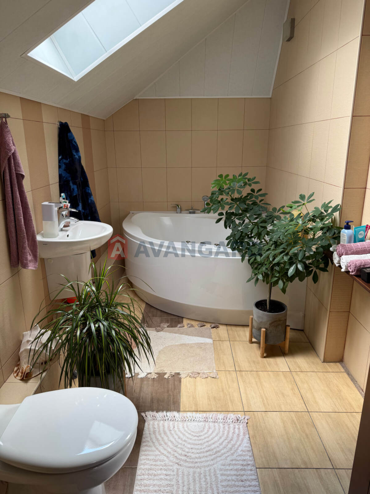 �������, 240 ��.�. ���� 19