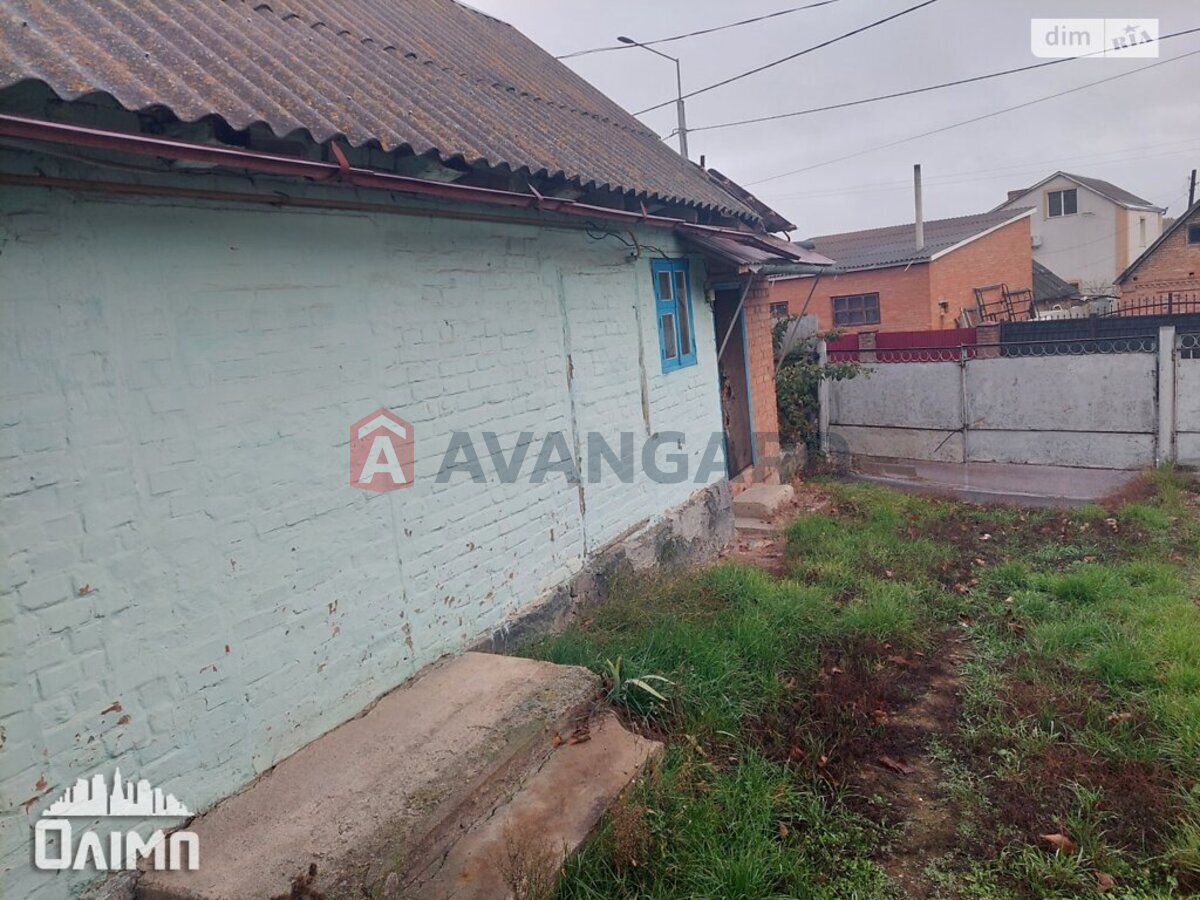 ����� ����, 36 ��.�. ���� 11