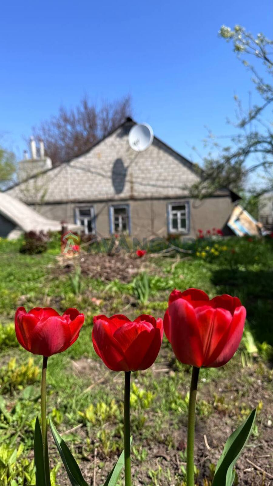 �������, 52 ��.�. ���� 1