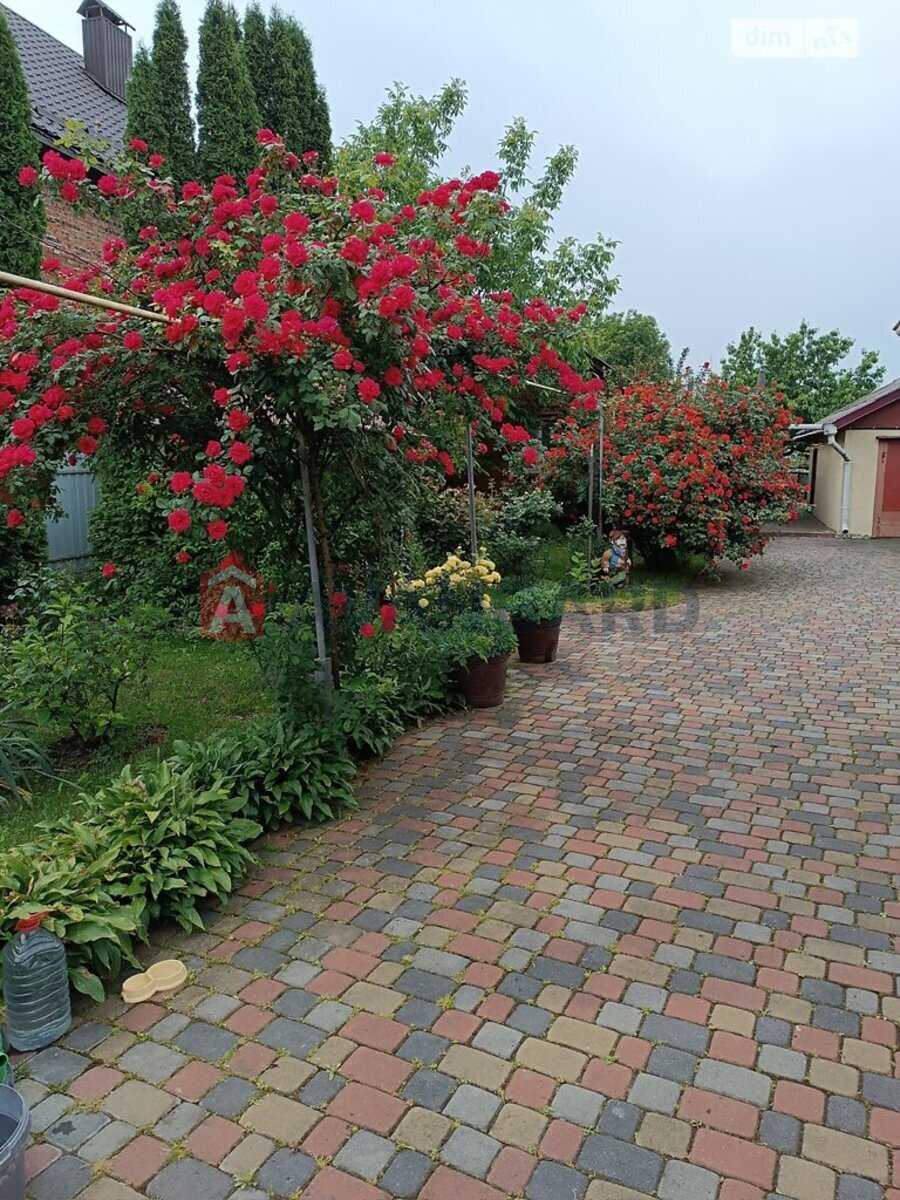 ���, 84 ��.�. ���� 15