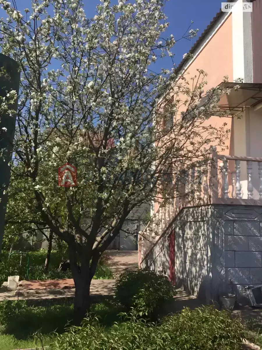 ����, 180 ��.�. ���� 6