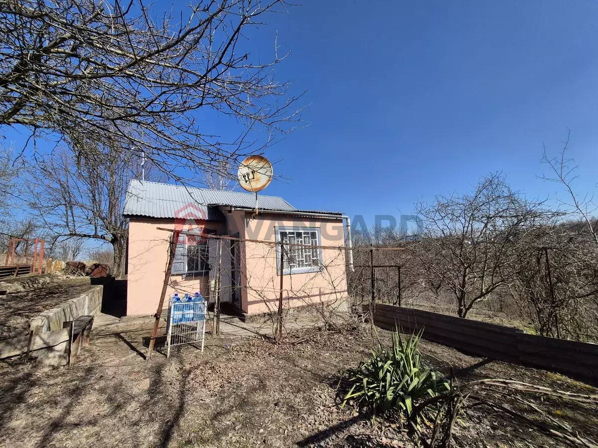 ����, 40 ��.�. ���� 7