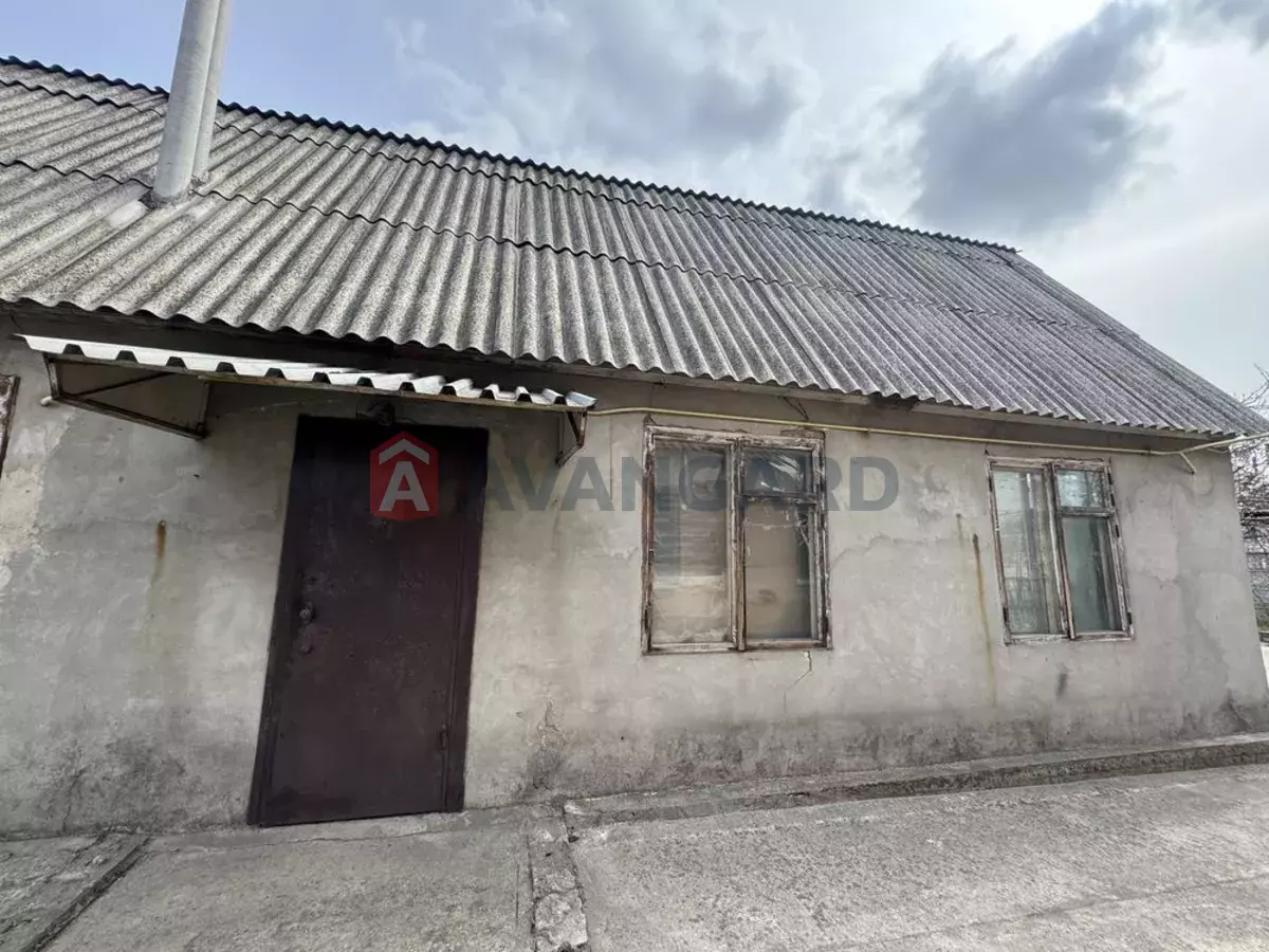 �������, 53 ��.�. ���� 1