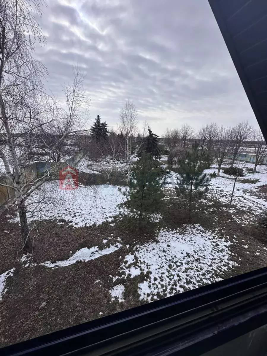 �������, 113 ��.�. ���� 19