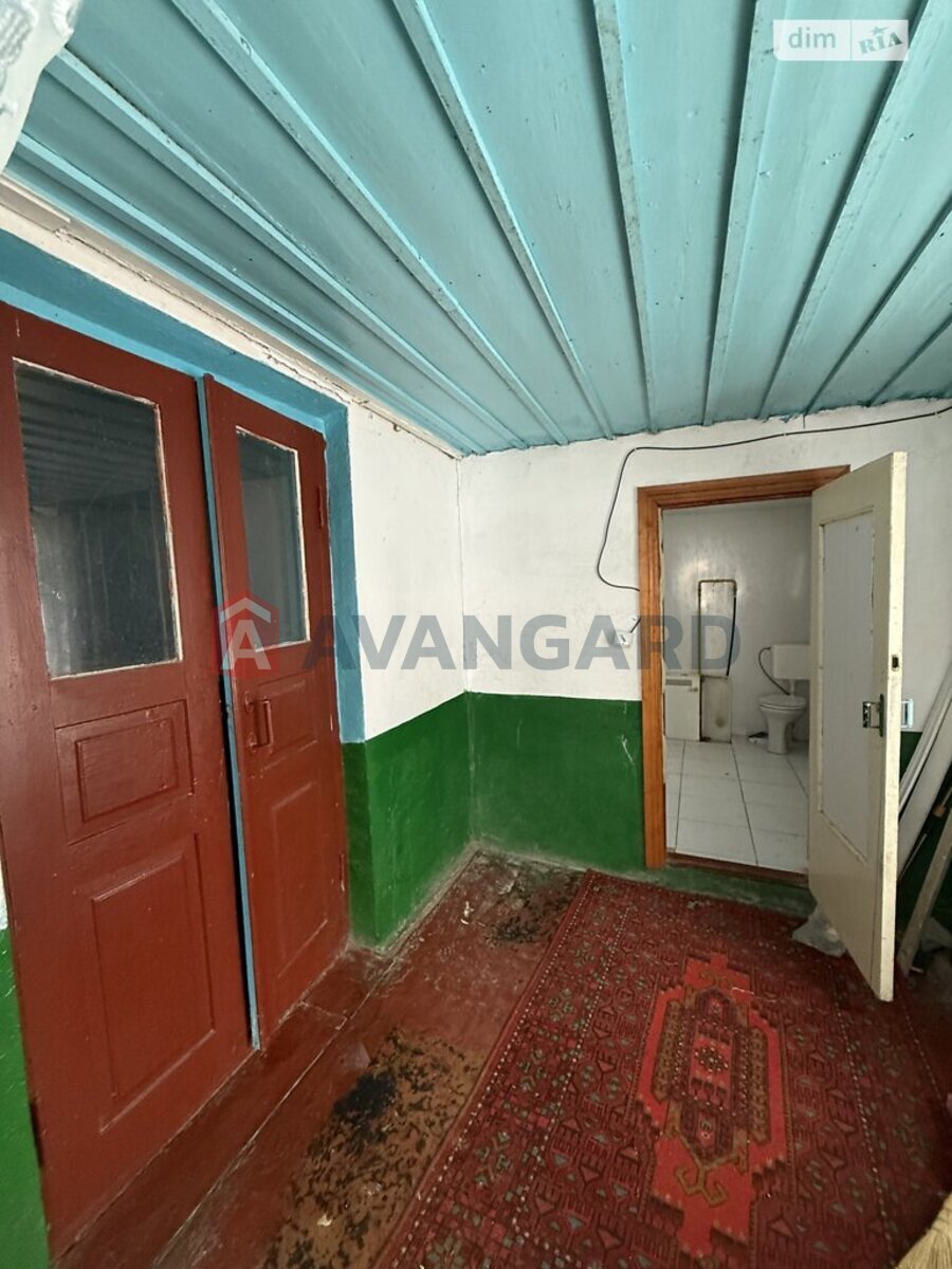 �������, 115 ��.�. ���� 14