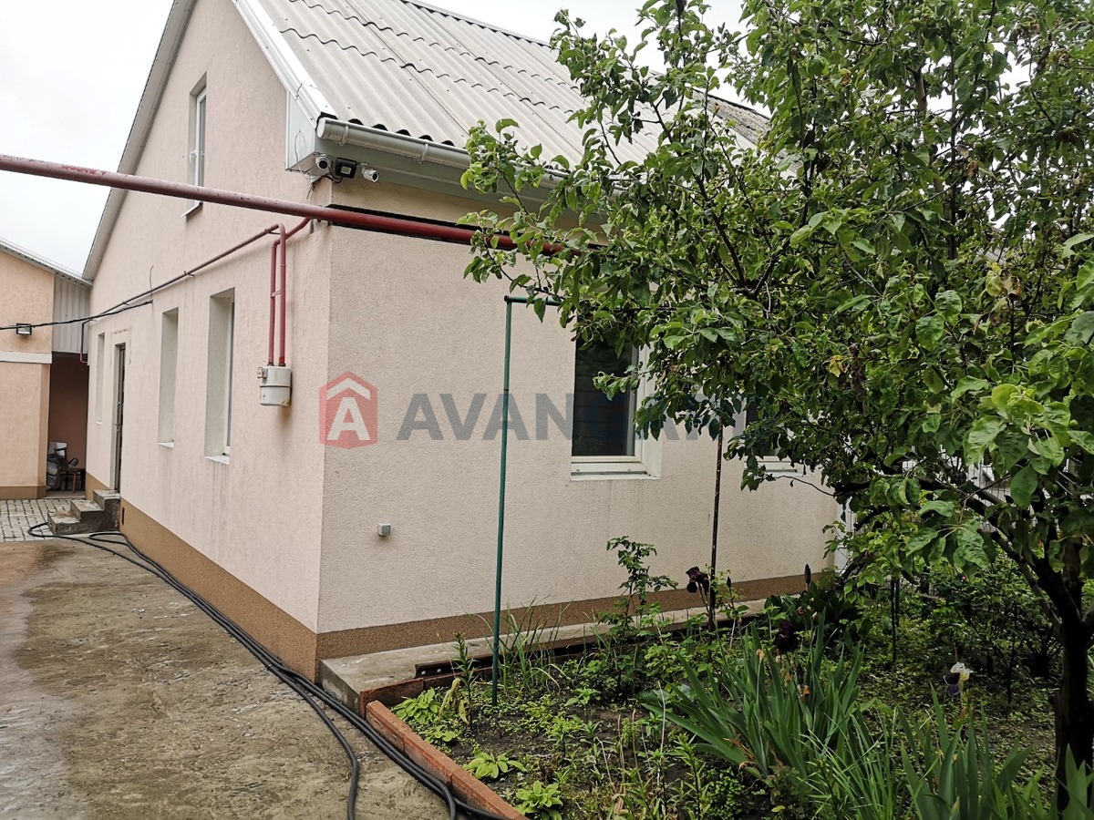 ������� �������, 100 ��.�. ���� 1