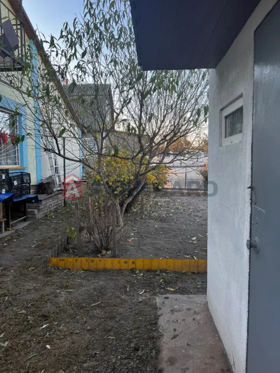 �������, 80 ��.�. ���� 5