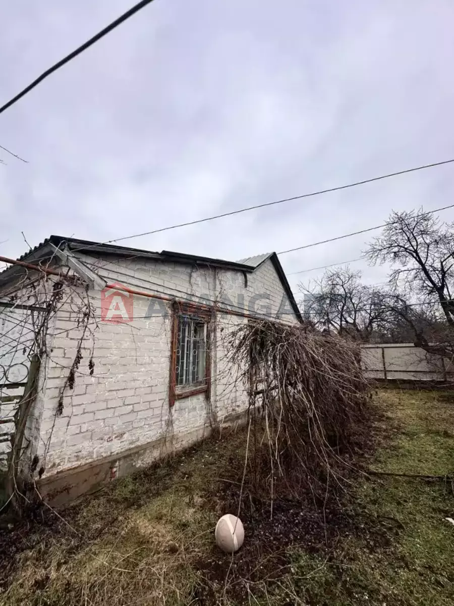 �������, 50 ��.�. ���� 4