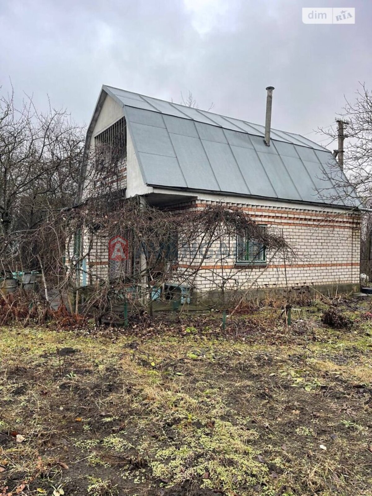 �������, 49 ��.�. ���� 6