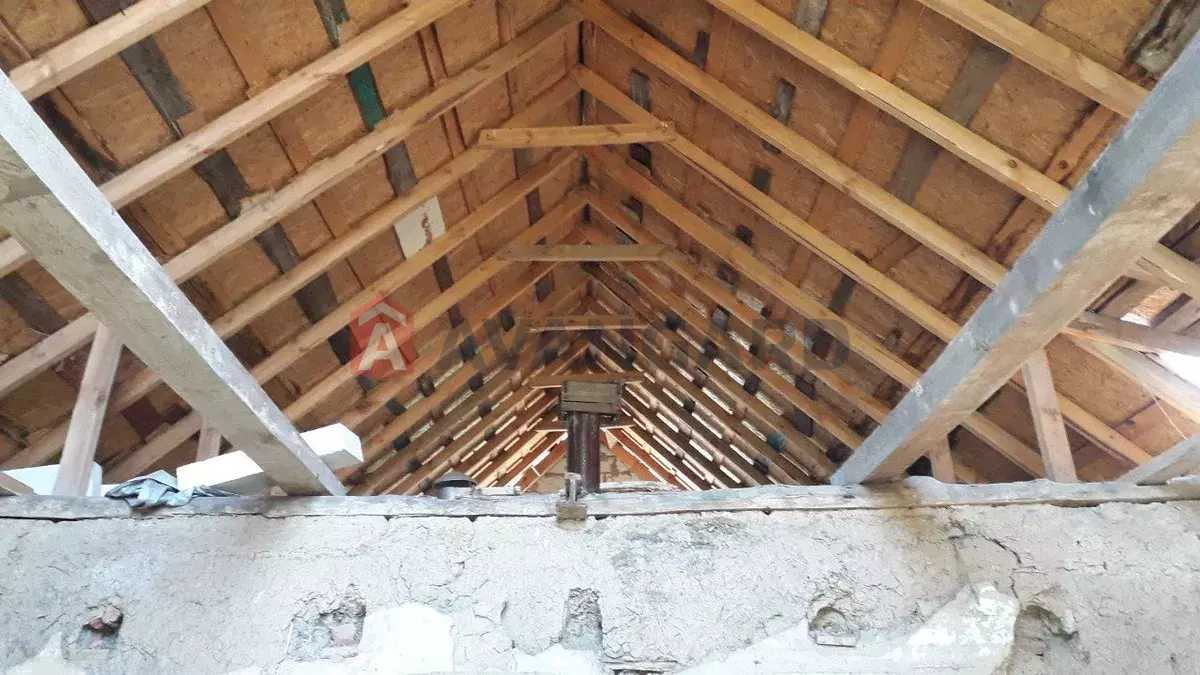 ���, 41 ��.�. ���� 3