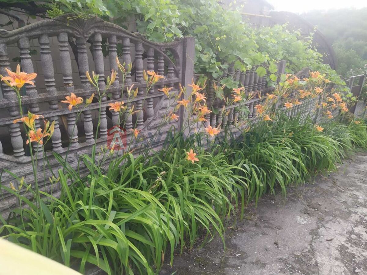 ������� �������, 38 ��.�. ���� 2