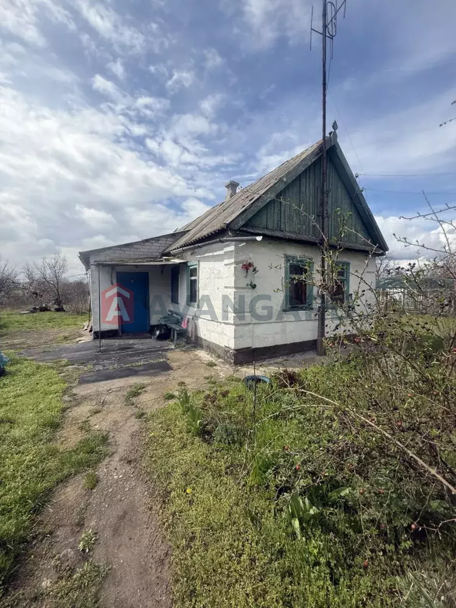 ����, 41 ��.�. ���� 1