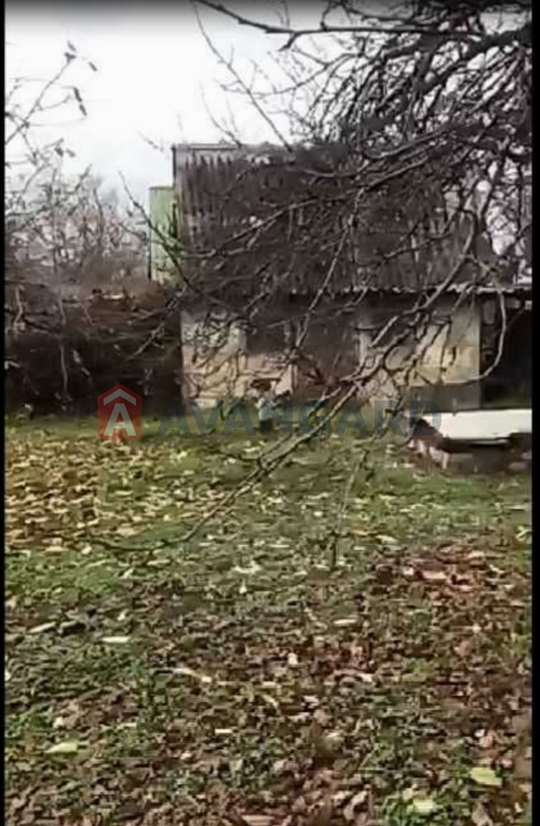 �������, 48 ��.�. ���� 3