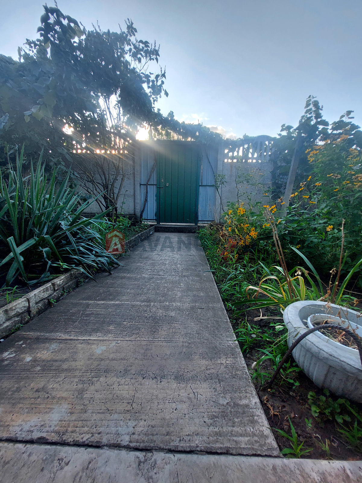 ����, 25 ��.�. ���� 5