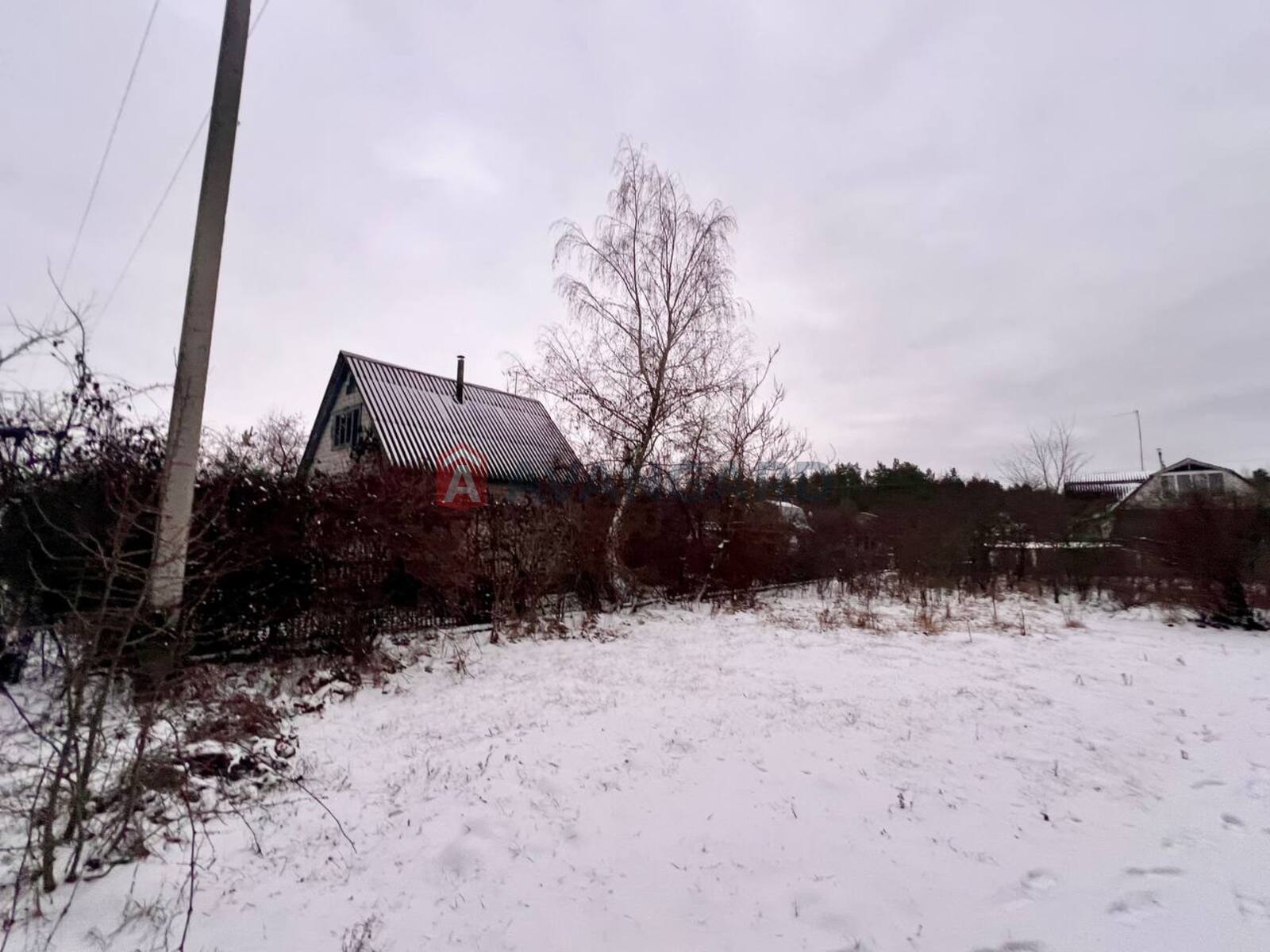 ����, 50 ��.�. ���� 16