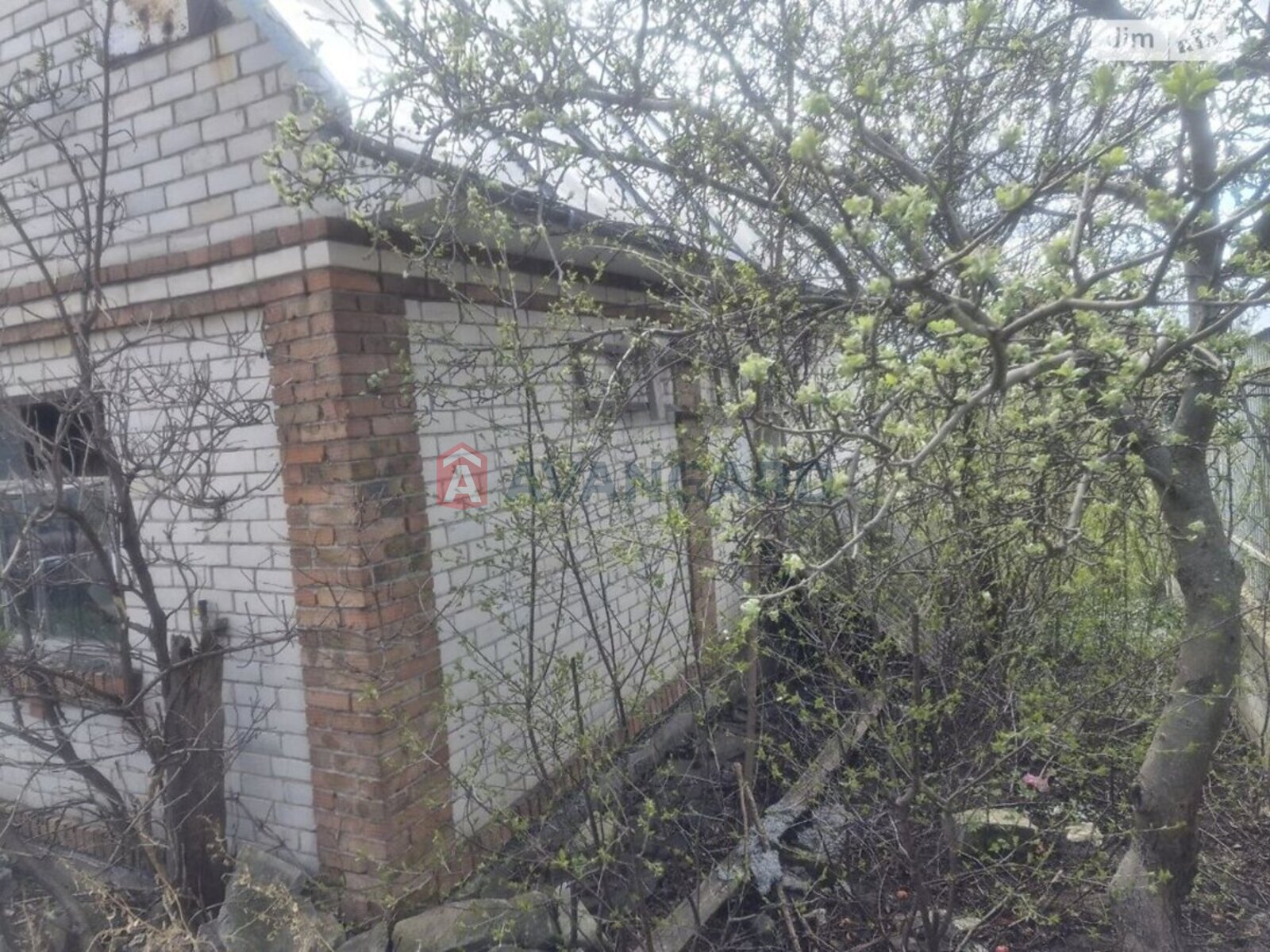 �������, 100 ��.�. ���� 5