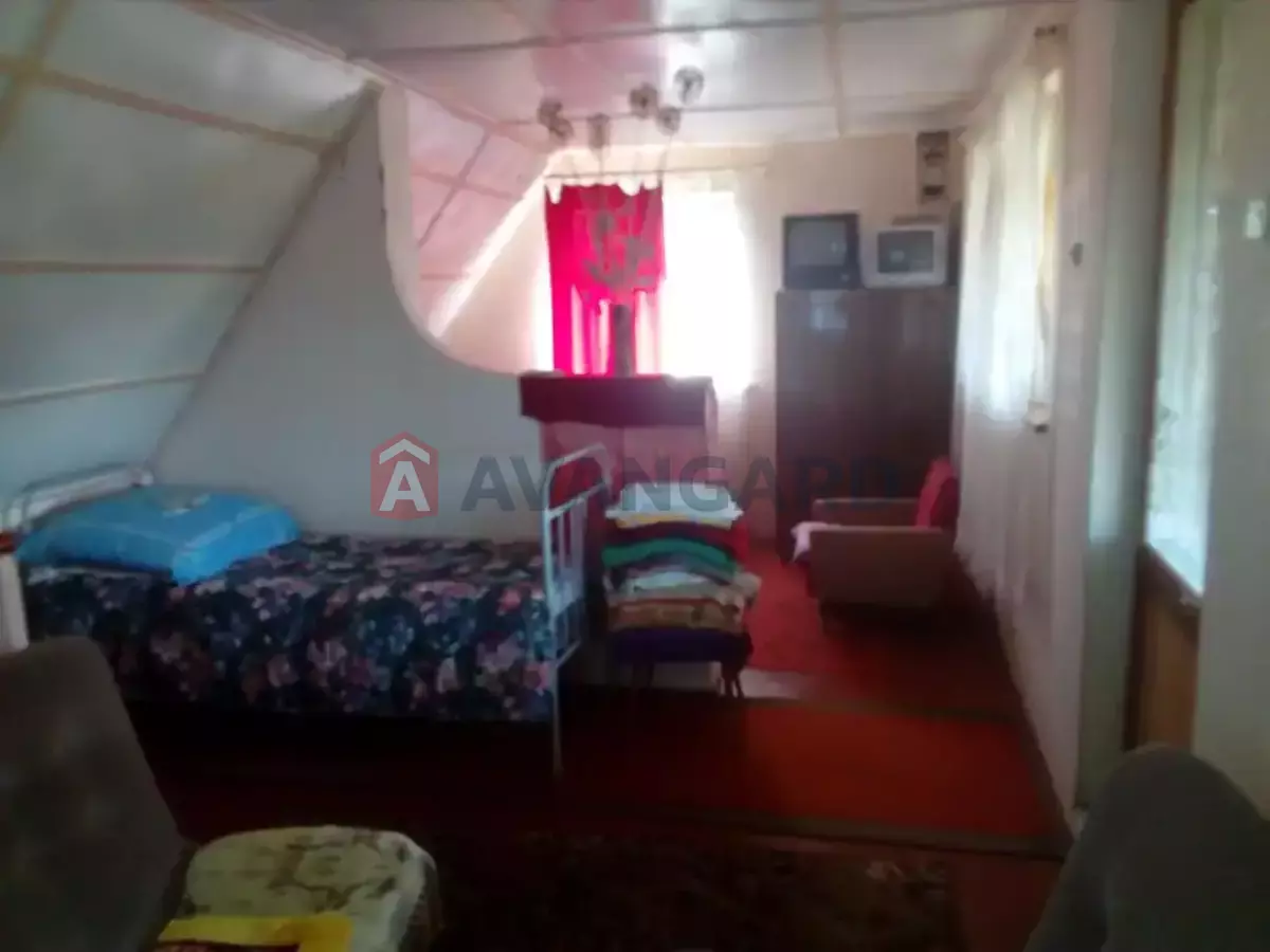 ����, 49 ��.�. ���� 5