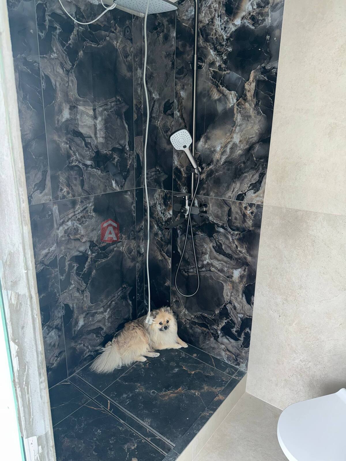 �������, 136 ��.�. ���� 23