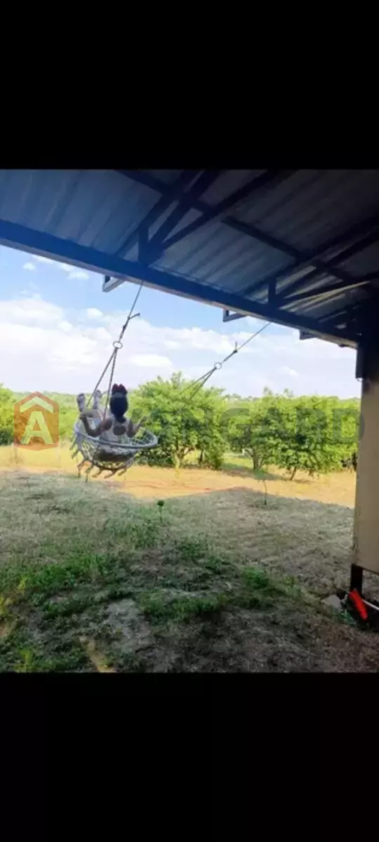 ����, 38 ��.�. ���� 5