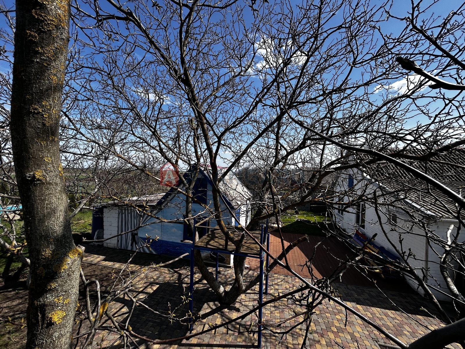 �������, 81 ��.�. ���� 2