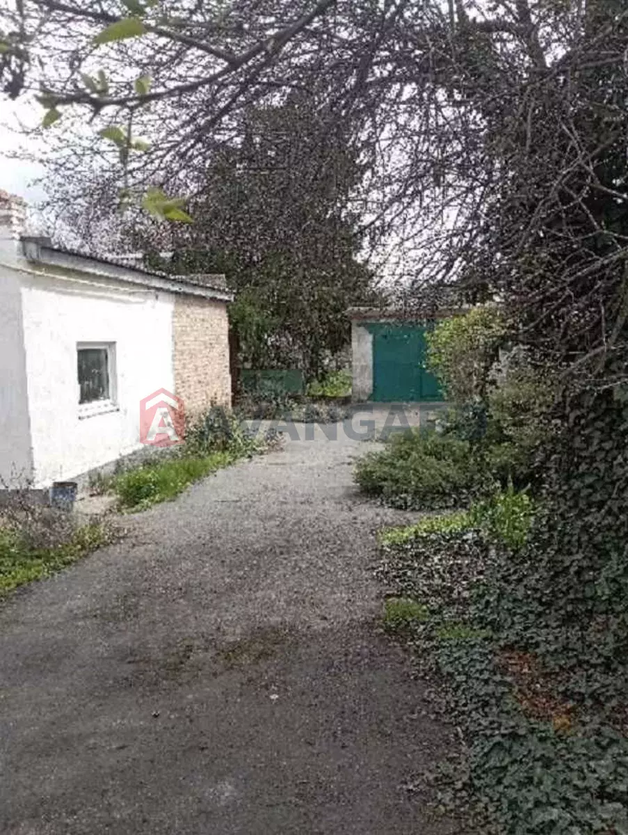 �������, 62 ��.�. ���� 14