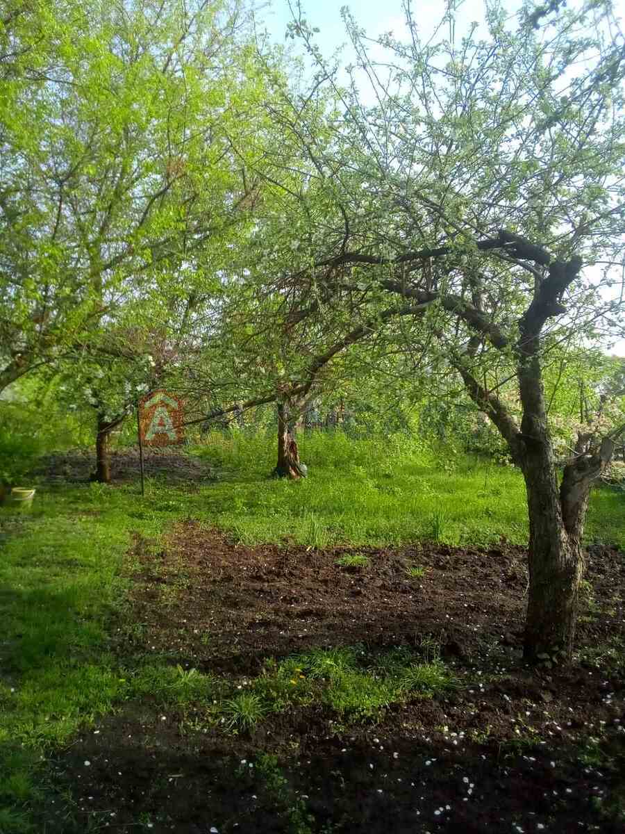 �������, 73 ��.�. ���� 9