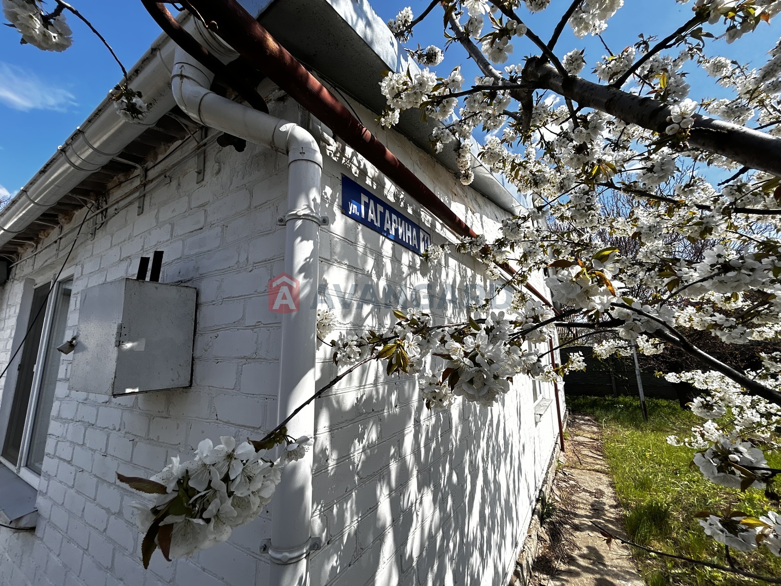 �������, 81 ��.�. ���� 5