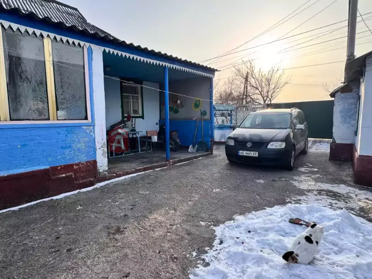 �������, 65 ��.�. ���� 7