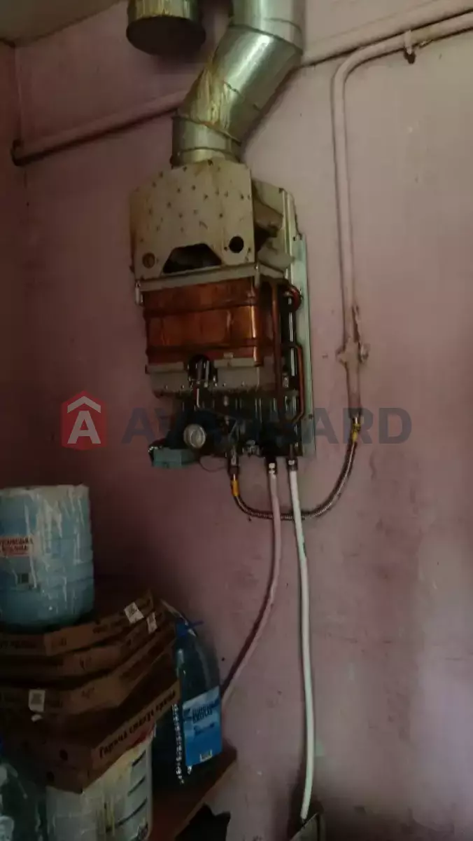 �������, 84 ��.�. ���� 8