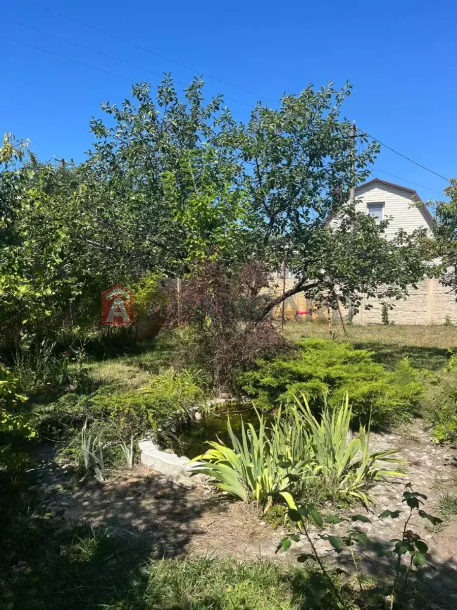 ����, 124 ��.�. ���� 5