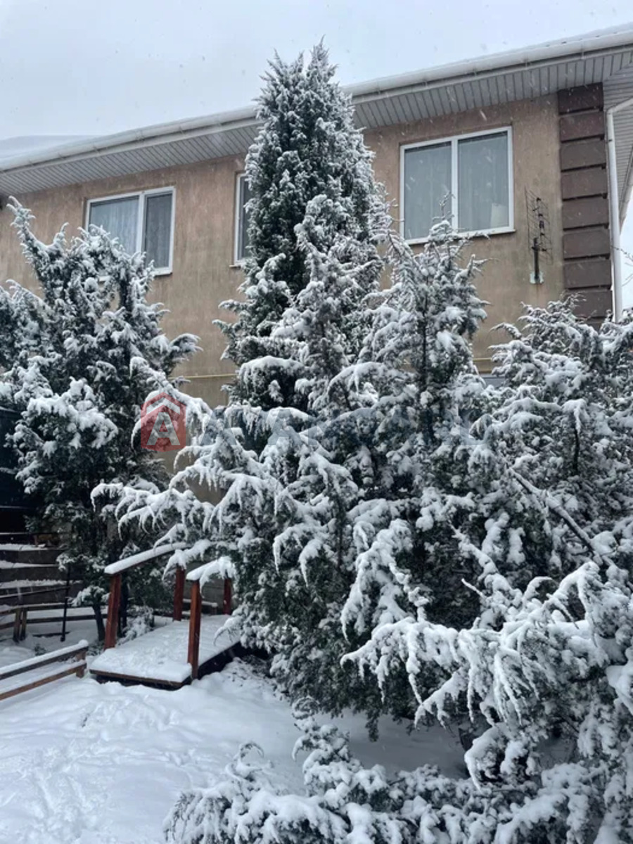 �������, 246 ��.�. ���� 2