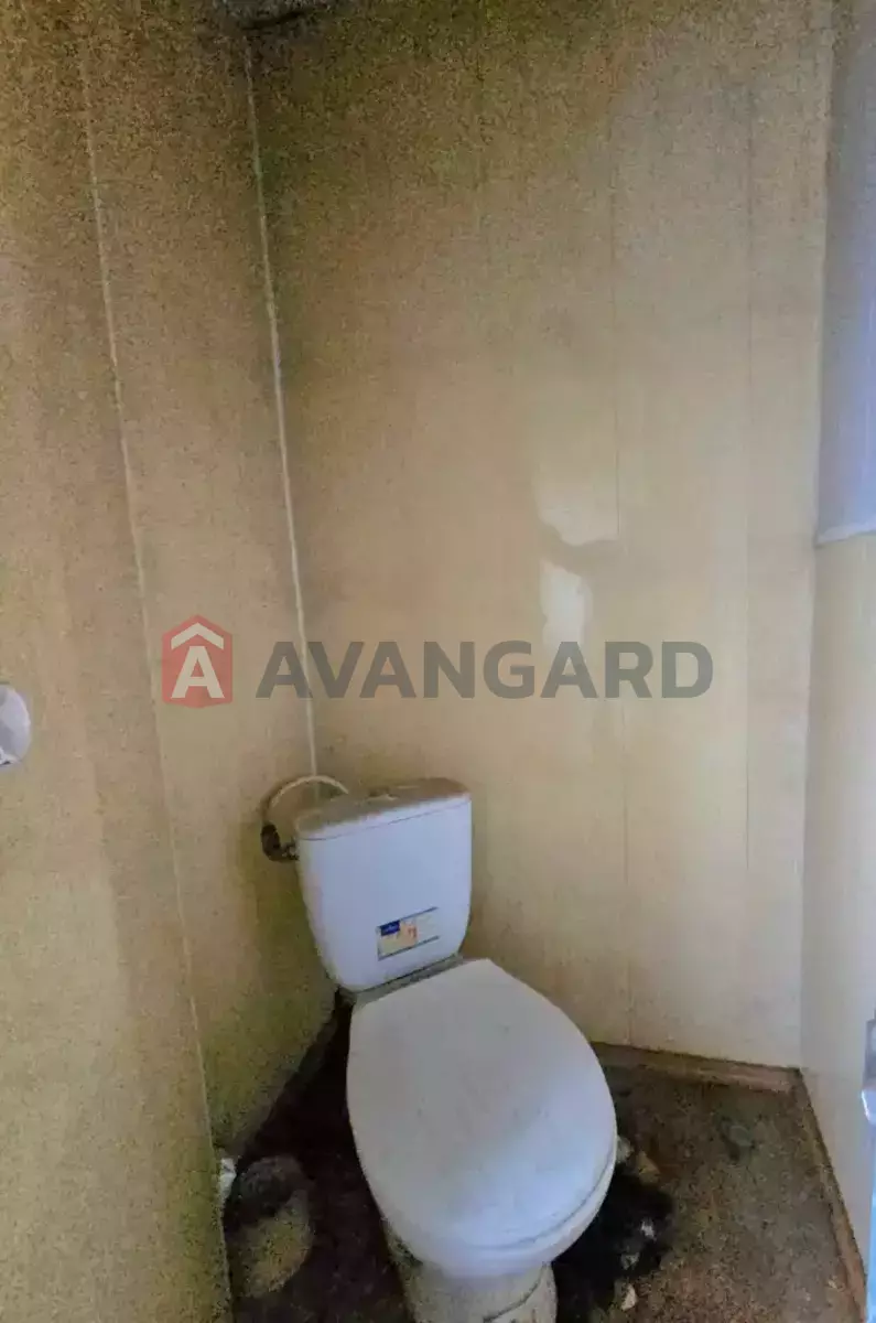 �������, 40 ��.�. ���� 17